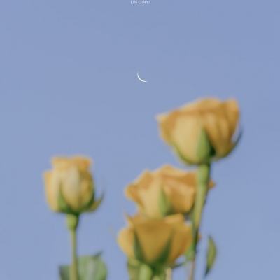 麻痹无双手游下载