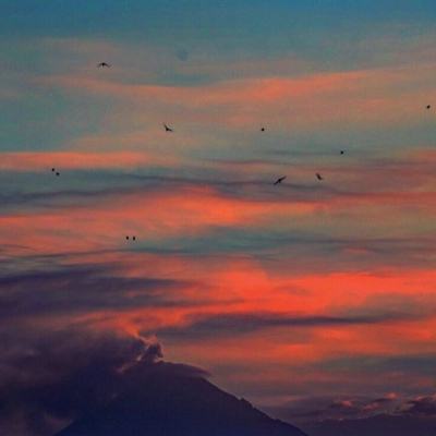梦幻天使纪元手游官方下载